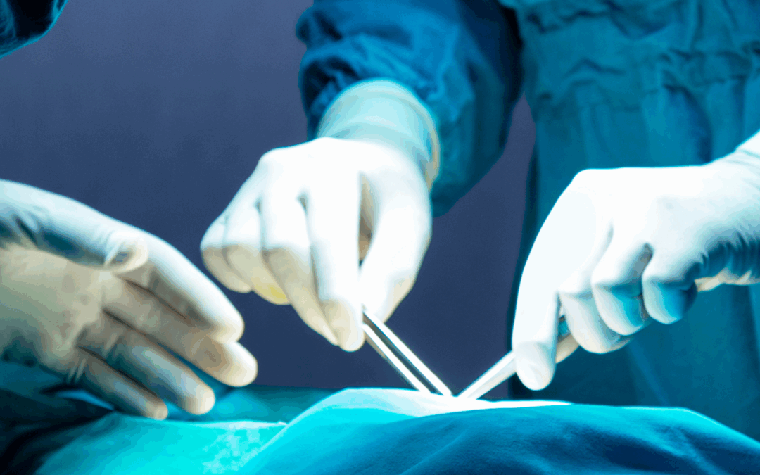 Lipödem, Lymphödem und Adipositas im Fokus – Ein Gespräch mit Dr. Weil