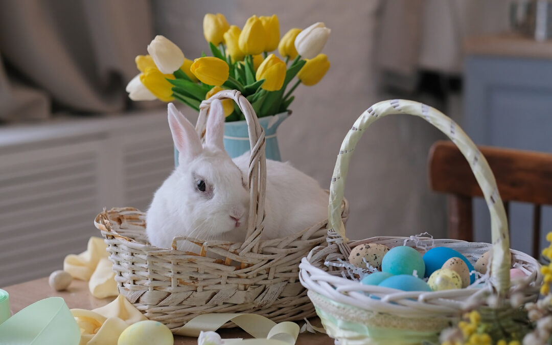 Leichter Osterbrunch bei Lipödem & Lymphödem: 3 entzündungshemmende Rezepte